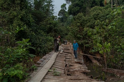 Índígenas Karipuna tala en el Amazonas