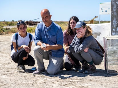 Equipo técnico de Salinas La Esperanza, en la bahía de Cádiz.  