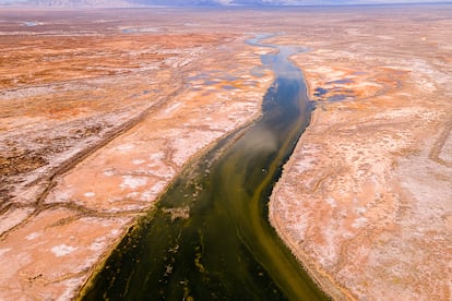El Río Colorado, en San Luis Río Colorado, Sonora, el 26 de marzo de 2025.