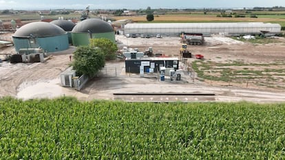 Planta de Biogas