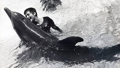 Margaret Howe Lovatt con el delfín 'Peter' en un fotograma del documental 'The girl who talked to dolphins' (2014).