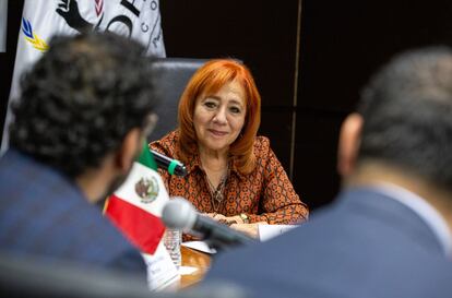 Rosario Piedra Ibarra en Ciudad de México, en marzo de 2024.